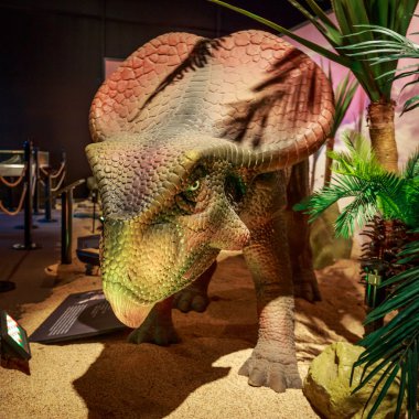 Dinasours ortaya çıkarıldı - Protoceratops