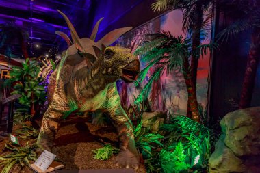 Dinasours ortaya çıkarıldı - Stegosaurus