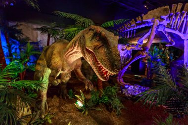 Dinasours ortaya çıkarıldı - Yangchuanosaurus