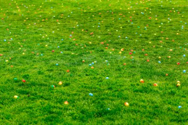 Paskalya yumurtası avı