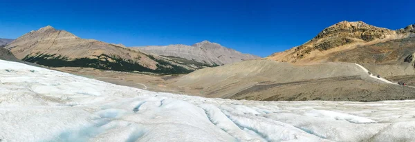 Ghiacciaio Athabasca — Foto Stock