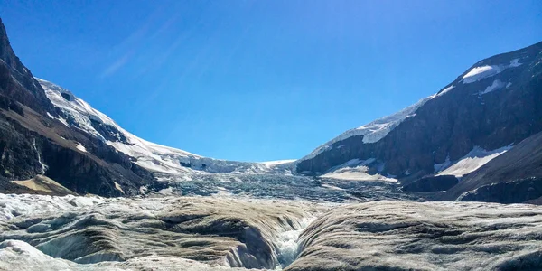 Athabasca-Gletscher — Stockfoto