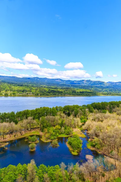 Columbia Gorge — Stock Photo, Image