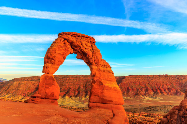 Нежная арка
