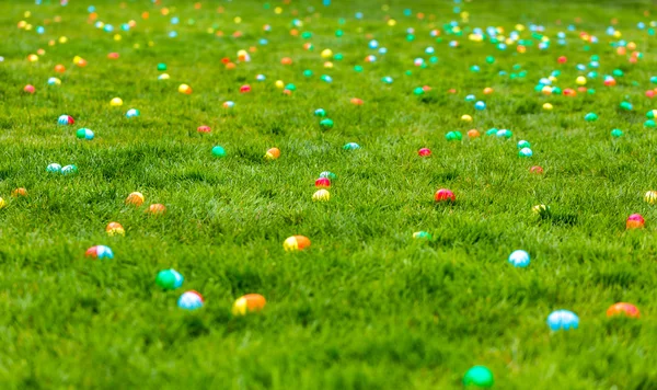 Easter Egg Hunt — Stock Photo, Image