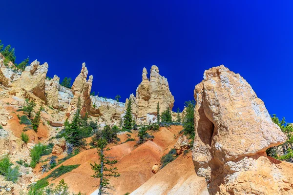 Hoodoos em Bryce canyon — Fotografia de Stock