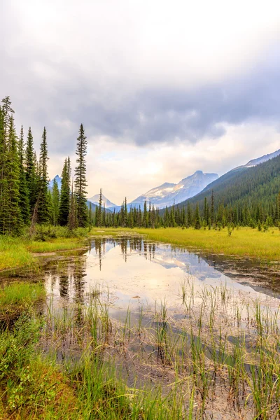 Lago O Hara — Foto Stock