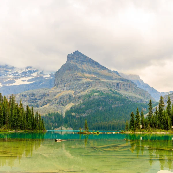 Lake O Hara — Stock Photo, Image