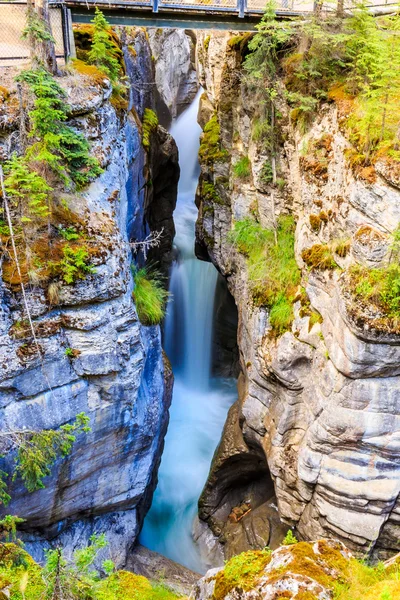 Kaňon Maligne — Stock fotografie