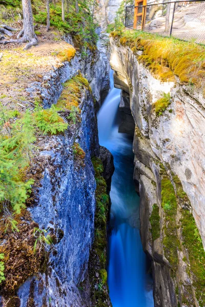 Kaňon Maligne — Stock fotografie