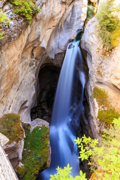 Kaňon Maligne — Stock fotografie