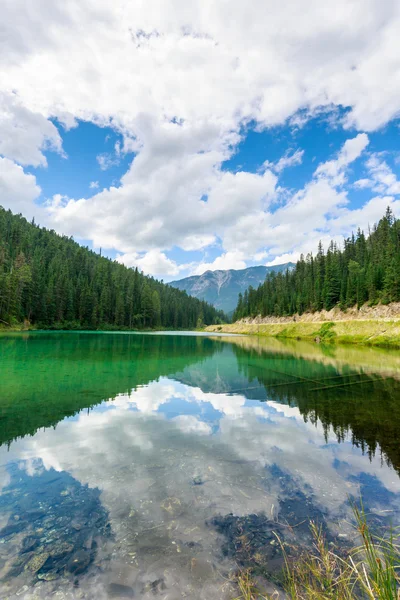 Lago d'oliva — Foto Stock