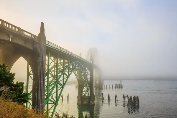 Мост через залив Якина — стоковое фото