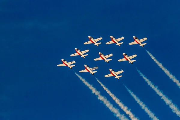 Canadese troepen Snowbirds — Stockfoto