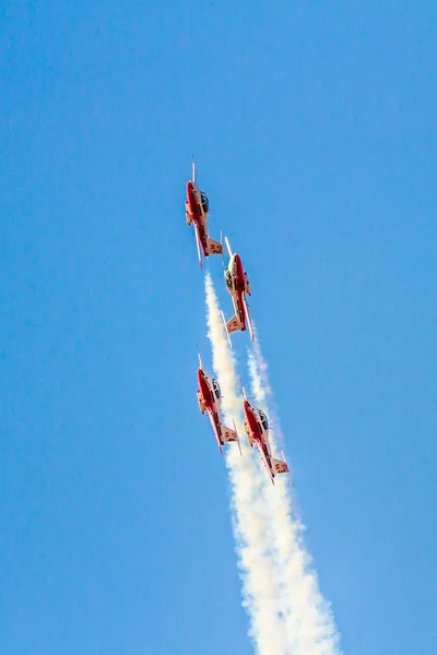 Canadian Forces Snowbirds — Stock Photo, Image