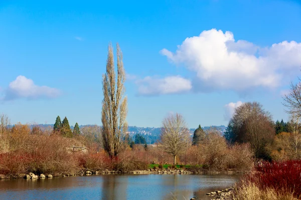 Commonwealth Lake Park — Stock Photo, Image