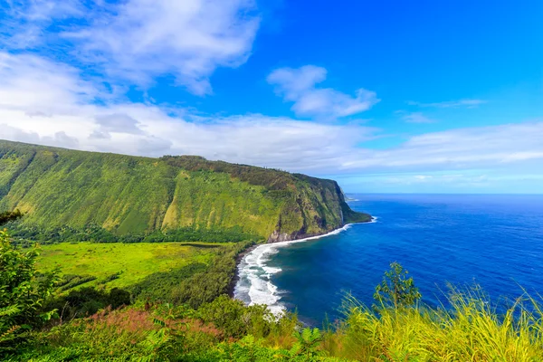 Mirador del Valle de Waipio —  Fotos de Stock