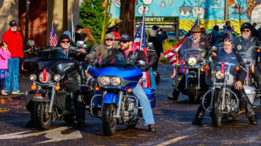 Gaziler günü geçit töreni 2015