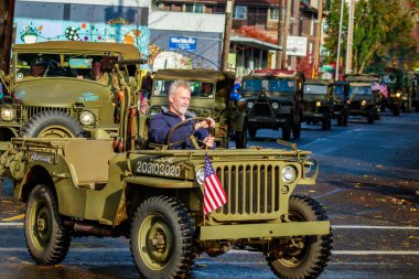 Gaziler günü geçit töreni 2015