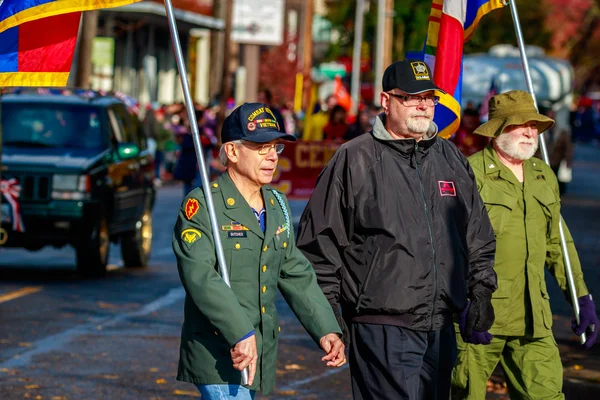 Parade de la Journée des anciens combattants 2015 — Photo