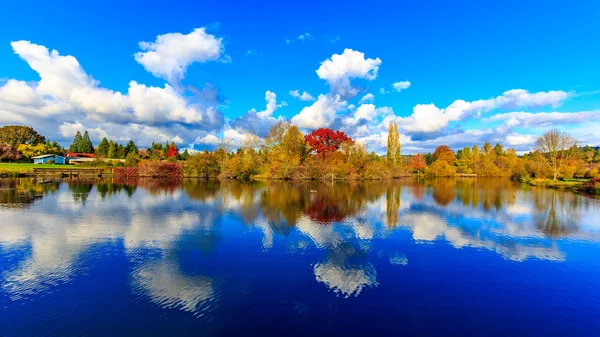 Парк озеро Співдружності — стокове фото