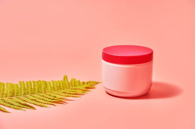 Pembe arka planda yeşil eğreltiotu yaprağı. Krema kavanozu. Kozmetik bakım. Boşluğu kopyala