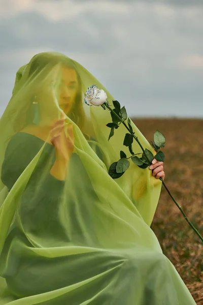 woman in field on chair with white rose in her hands. female in burqa