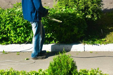 İşçi elektrikli makasla çalıları kesiyor.