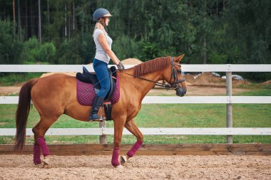 Çiftlikte ata binen bir kadın.