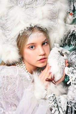 Ormandaki kar prensesi. Muhteşem manzara.