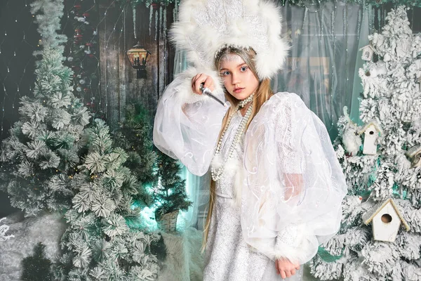 妖精の雪の妖精は魔法で凍る — ストック写真