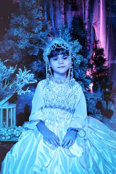 Portret Van Het Kind Van Sneeuwkoningin Kroon Sprookjesconcept — Stockfoto