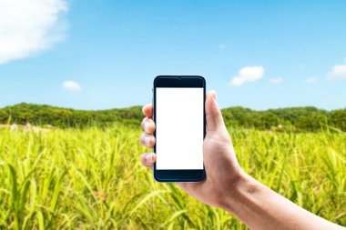Dikey konumunu, güzel manzara arka plan bulanıklık smartphone telefon kullanarak ele