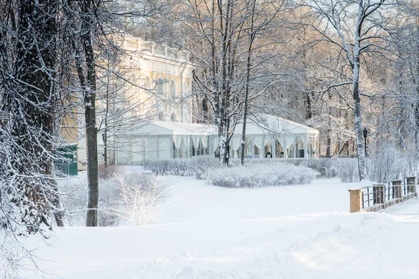 Mañana de invierno en un parque blanco — Foto de Stock