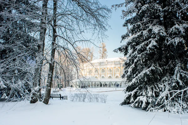 Inverno no parque Imagens De Bancos De Imagens Sem Royalties