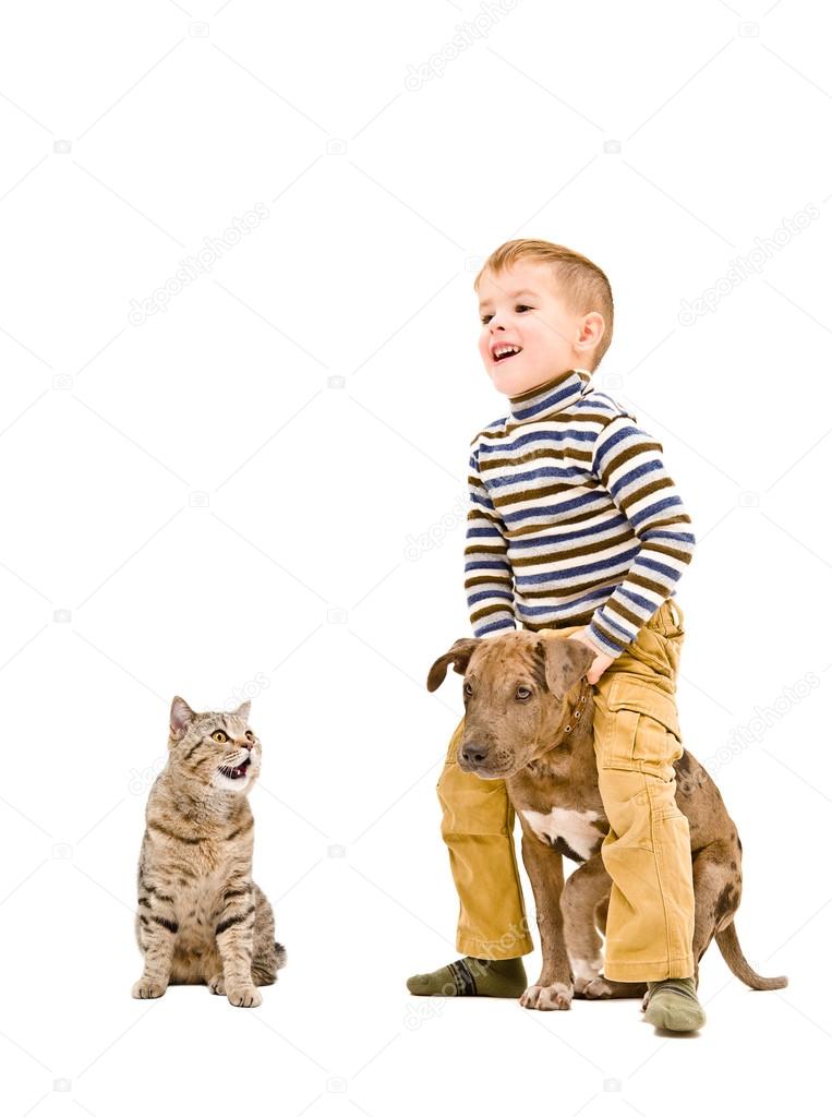 Happy boy playing with a puppy pitbull and cat