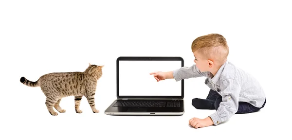 Chłopiec punktów palcem na ekranie laptopa, siedząc z kotem — Zdjęcie stockowe