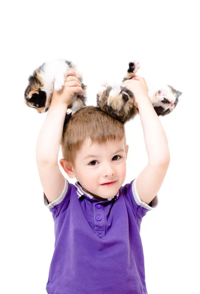 Portrait of a happy boy with kittens in the hands — Stock Photo, Image