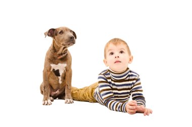 Oğlan ve köpek yavrusu pitbul