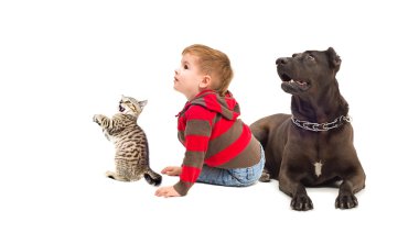 Meraklı çocuk, bir köpek ve kedi yavrusu