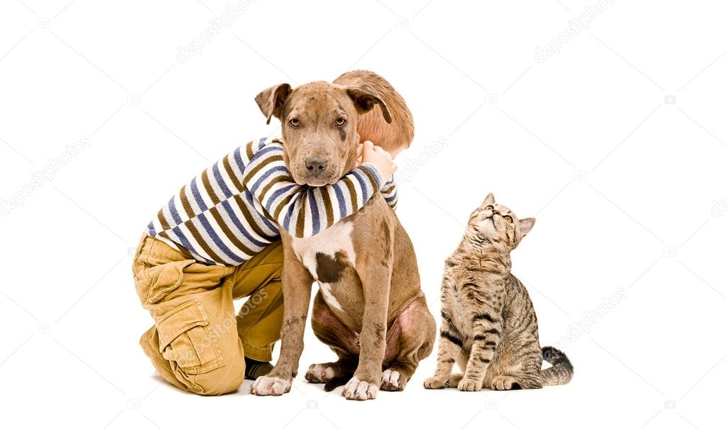 Loving boy, pit bull puppy and a cat