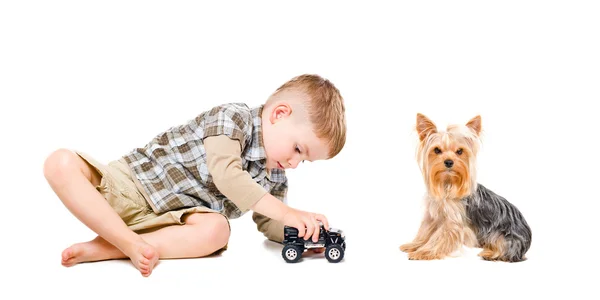 Мальчик играет в игрушечную машину вместе с йоркширским терьером — стоковое фото