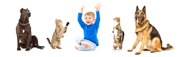 Grupp av lekfulla sällskapsdjur och lyckligt barn tillsammans — Stockfoto