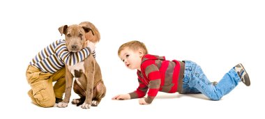 İki çocuk ve bir köpek yavrusu pitbul birlikte oynama