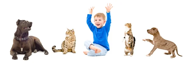Grupp av ett husdjur och barn — Stockfoto