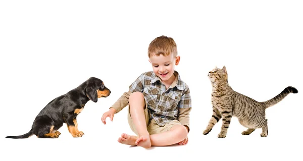 Happy boy sitting with cat and puppy — Stock Photo, Image