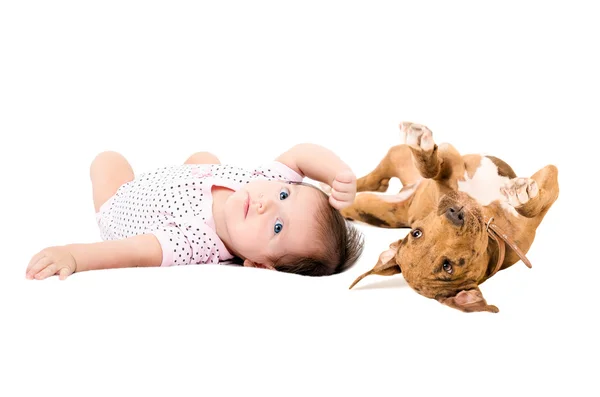 Porträt eines niedlichen Babys und Welpen Pitbull, auf dem Rücken liegend — Stockfoto