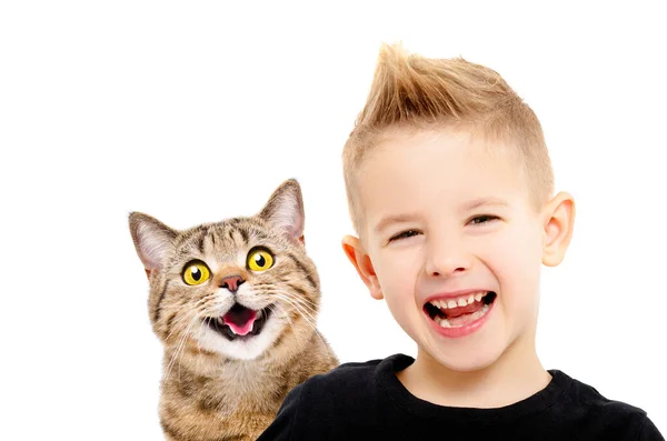 幸せな笑顔の少年と猫の肖像 スコティッシュ ストレート クローズアップ 白地に孤立 — ストック写真