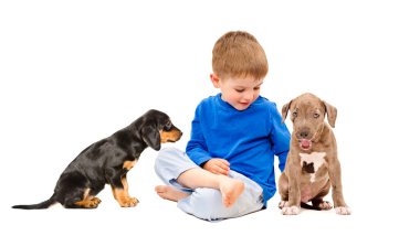 Beyaz arka planda izole edilmiş iki köpek yavrusuyla oturan sevimli küçük çocuk.