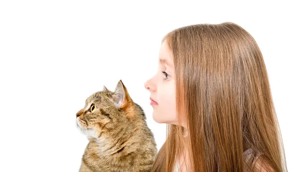 Portrait Cute Girl Cat Scottish Straight Closeup Side View Isolated — Stock Photo, Image